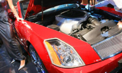 Fuel System Services